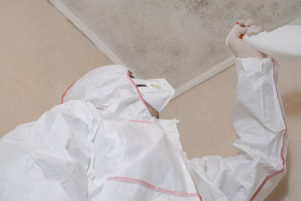 Office Mold Removal Services in Richwood, TX