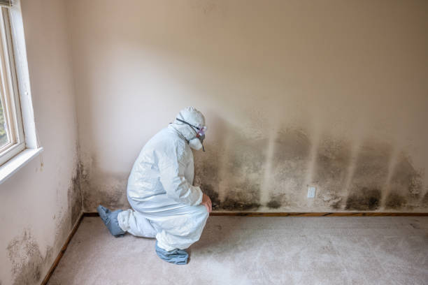 Best Crawl Space Mold Removal  in Richwood, TX
